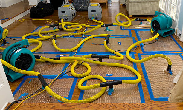 Professional Water Damage Restoration technician working in Kellogg, IA